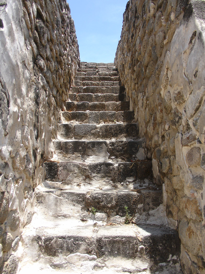 Diapositiva siguiente