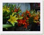 Cuernavaca - Eligiendo flores en el mercado