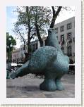 Puebla - La palomas de Puebla son as de grandes...