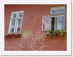 Sighisoara. Ventanas y flores.